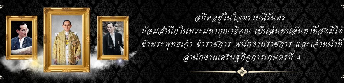 Banner_kingrama9