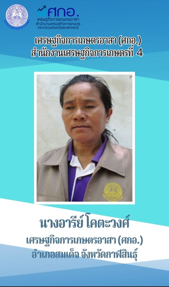 นางอารีย์ โคตะวงศ์