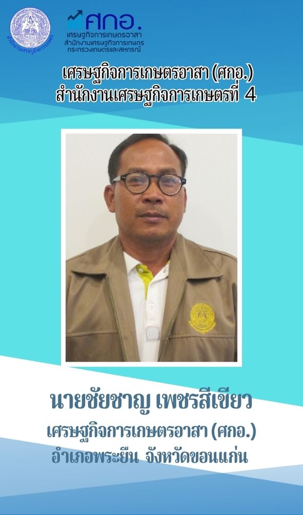 นายชัยชาย เพชรสีเขียว