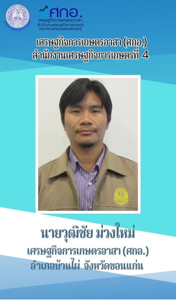 นายวุฒิชัย ม่วงใหม่